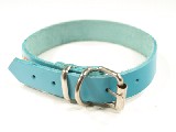 Zgarda din piele naturala turquoise 35 cm lungime, 1.8 cm latime , se poate personaliza cu placuta textul dorit utilizand placuta cu nituri Pet Scribe marimea M  - 8 RON